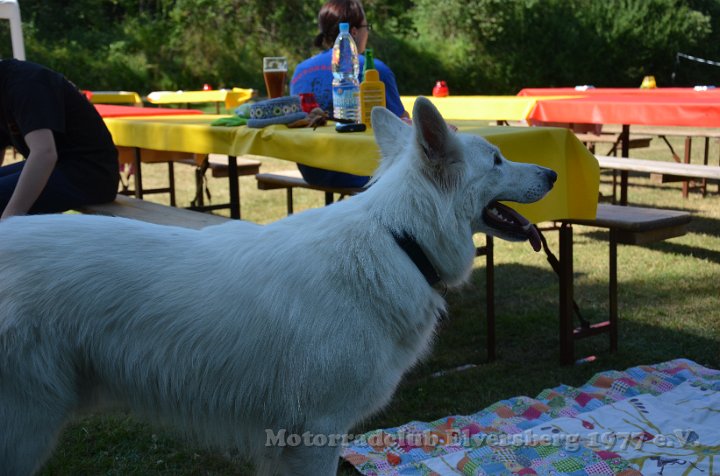 MCE Sommertreffen 2013 - 255.JPG